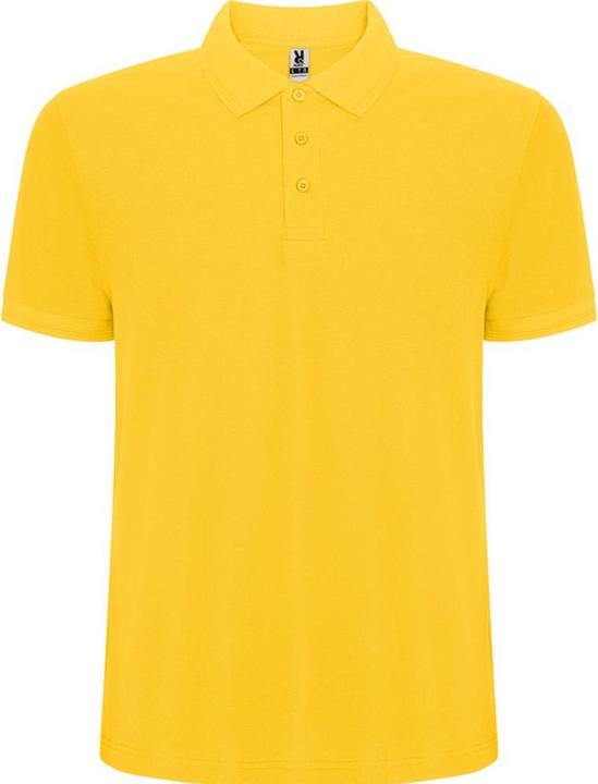 Produktbild Alpinia Pegaso Premium Poloshirt kurzärmlig (S)
