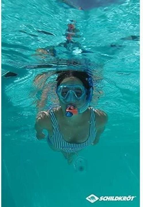 Produktbild Schildkröt Barbados