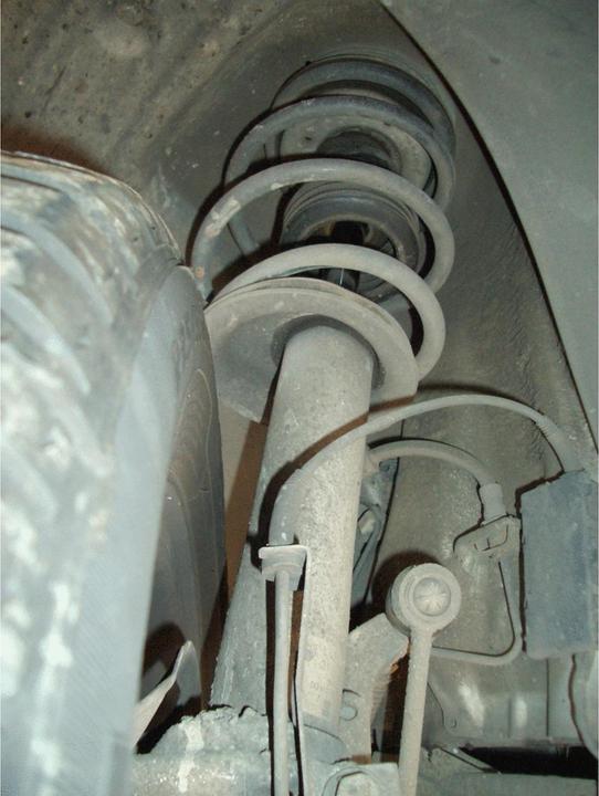 Actual product image Knipex Cutting Tweezers