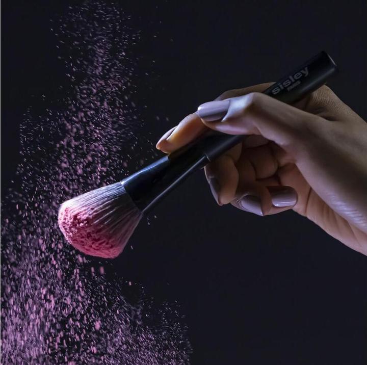 Actual product image Sisley Pinceau (Blusher)