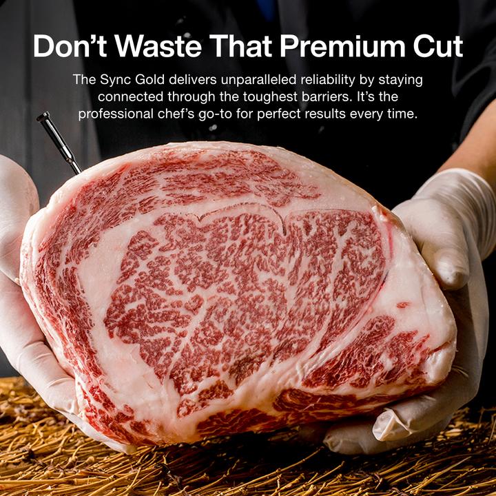 Produktbild Typhur Sync Gold Quad