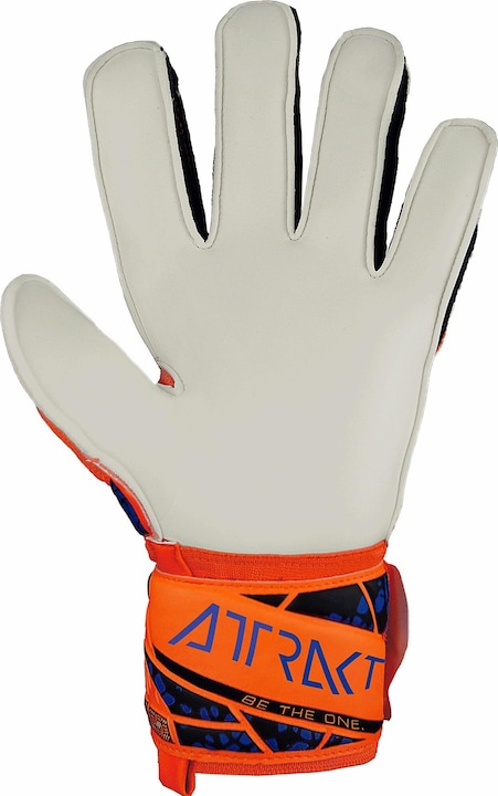 Actual product image Reusch goalkeeper gloves attrakt solid (8.5)