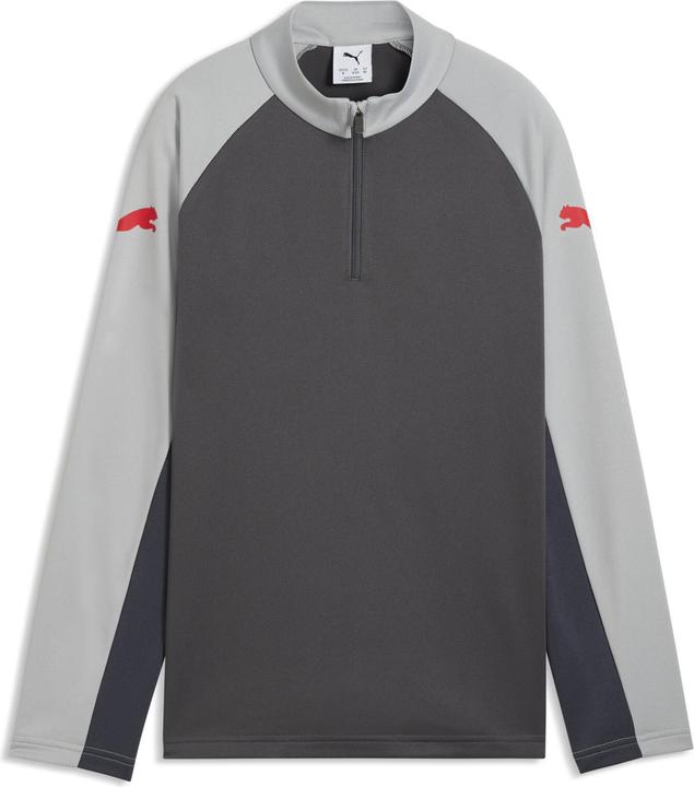 Puma IndividualLIGA 1/4 Zip Top Jr (116)