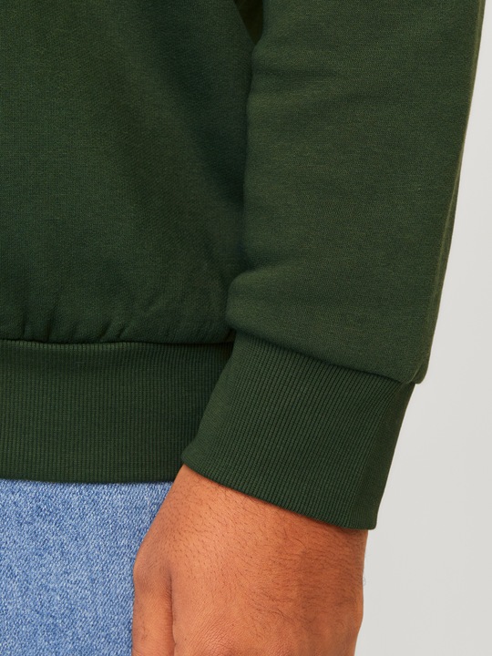 Produktbild Jack & Jones JJELOGO SWEAT HOOD 2 COL 24/25 NOOS PLS (3XL)