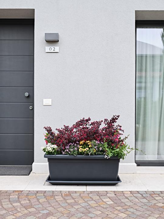 Immagine prodotto Herstera Plato Tikal