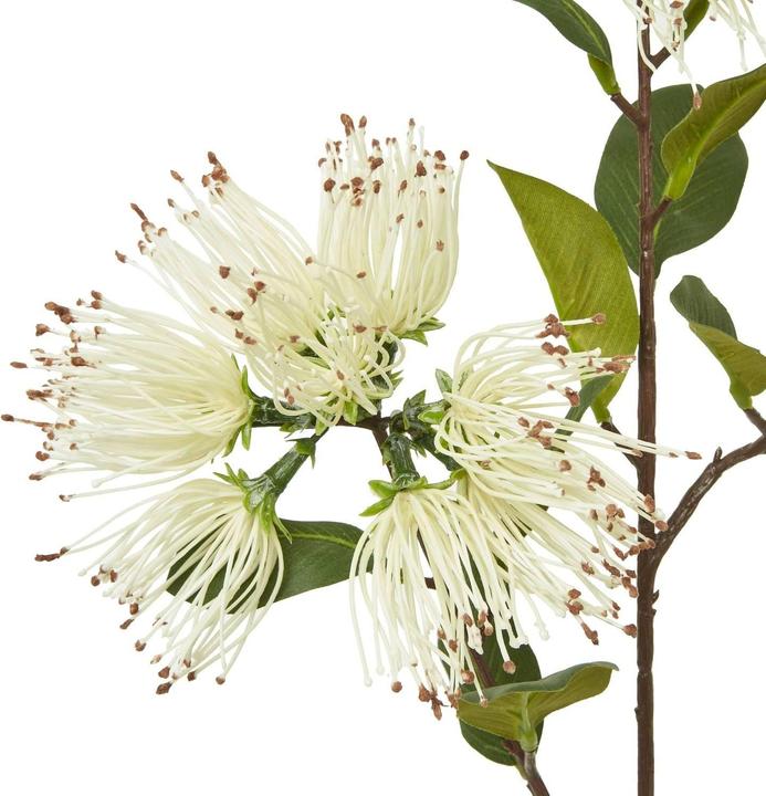 Immagine prodotto Hill Interiors Kunstblume Spray (65 cm)