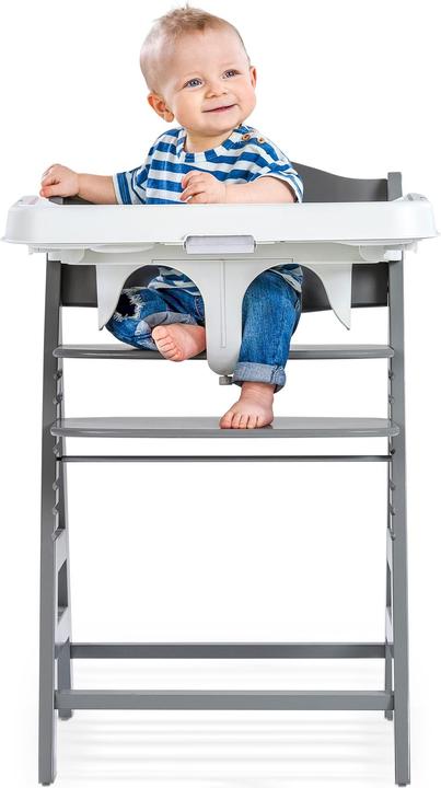 Actual product image Hauck alpha tray