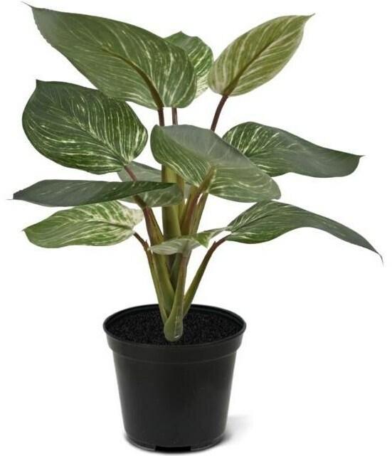 Botanic-Haus Kunstpflanze Philodendron Birkin 30 cm, Produkttyp (30 cm)