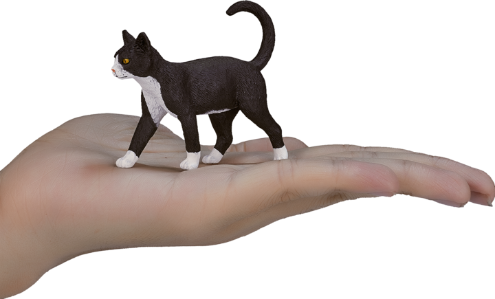 Actual product image Mojo Cat