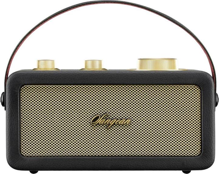 Actual product image Sangean RA-101 Rechargeable Radio FM Bluetooth®, AUX Rechargeable Black, Gold (FM, Bluetooth)