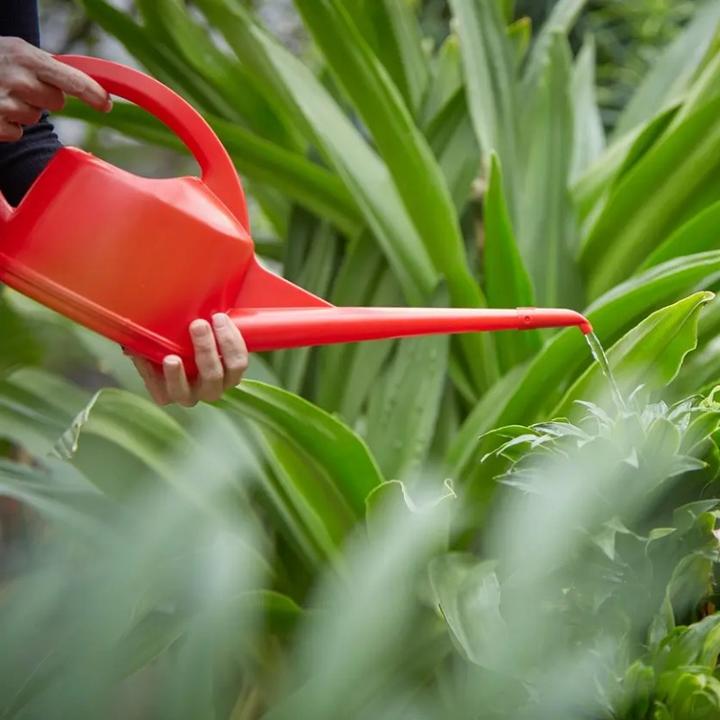 Produktbild Stöckli Giesskanne (2 l)