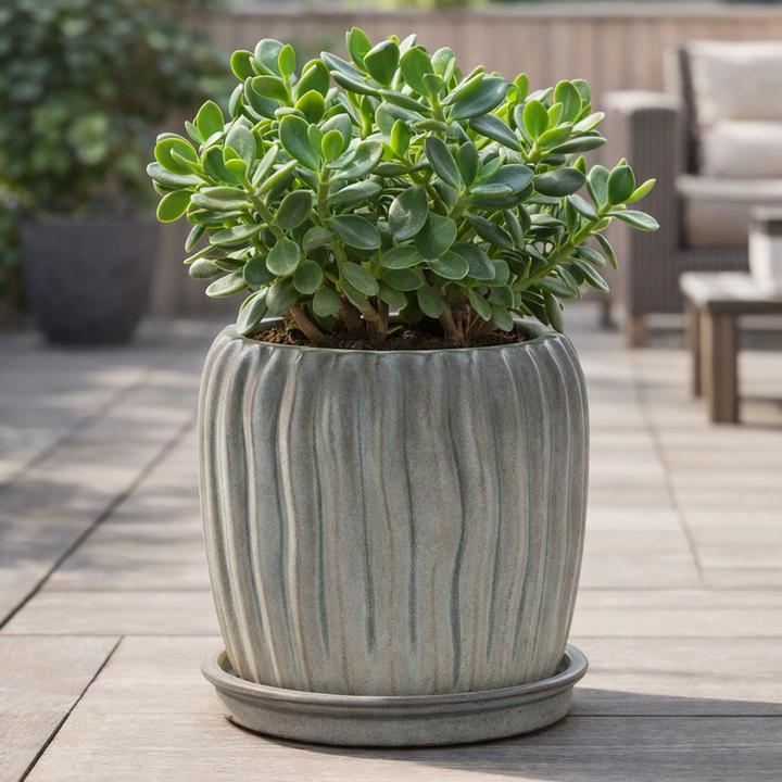 Actual product image Jaco Barro