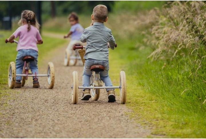 Produktbild Trybike Laufrad 2 in 1 vintage, red matt (12")