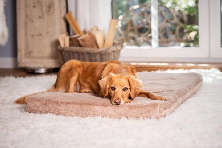 Produktbild Sabro Jokkmokk SilkTouch Hundeliegematte (Hund)