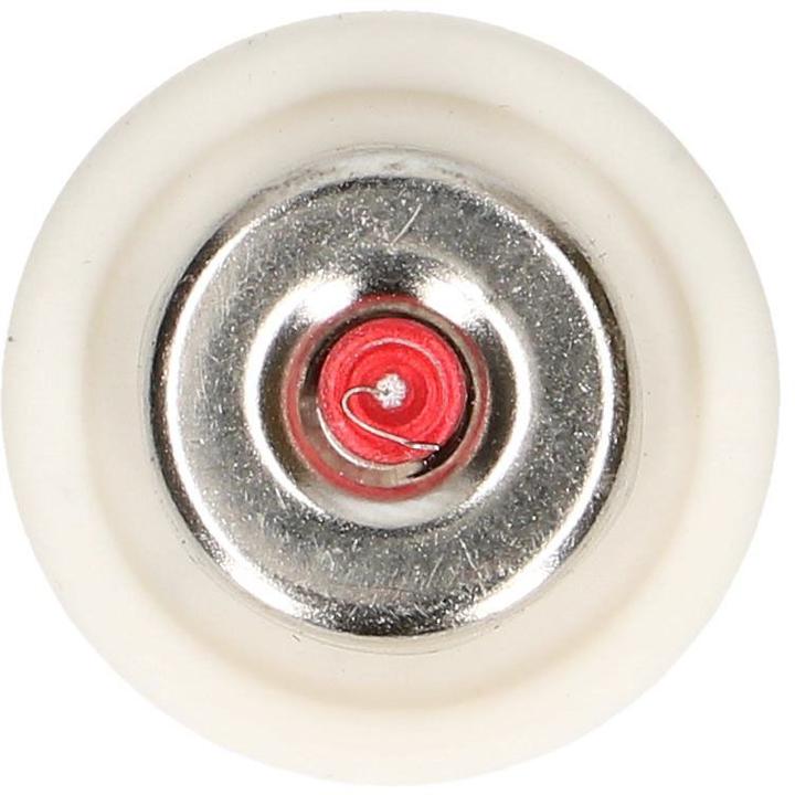 Actual product image Max Hauri Fuse DT, 5 pieces (10 A)