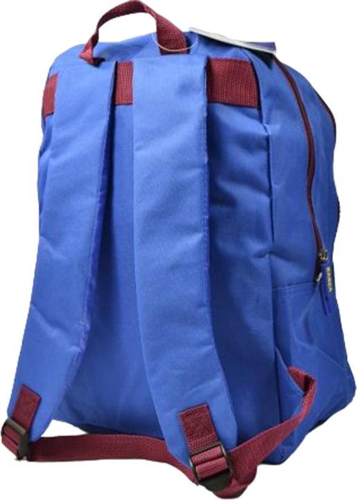 Actual product image FC Barcelona Flash Backpack