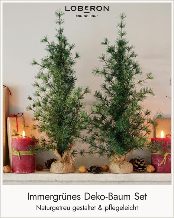 Image du produit Loberon Arbre déco set de 2 Bohicon vert/brun
