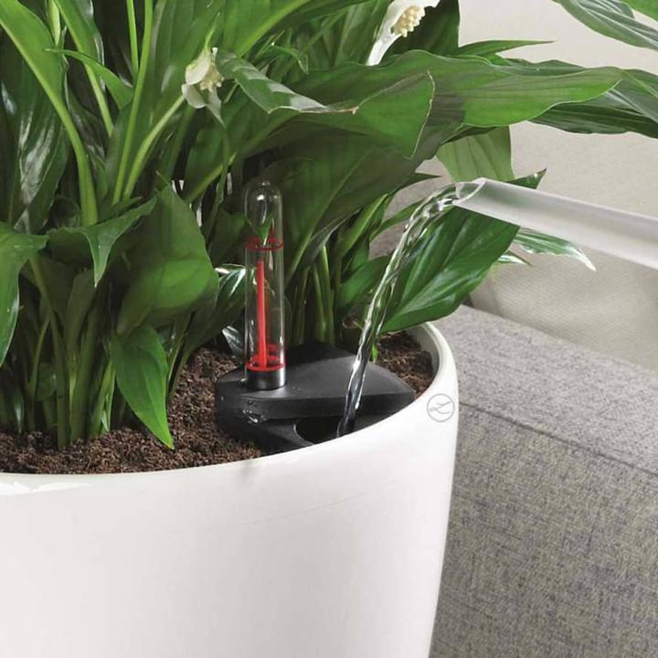 Image du produit Lechuza Classico (43.50 x 39.50 cm)