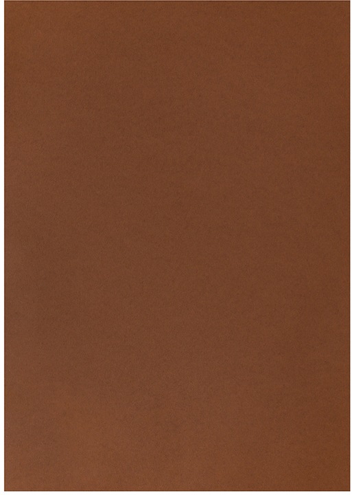 Fotokarton A4, Mittelbraun (270 g/m², 1 x)