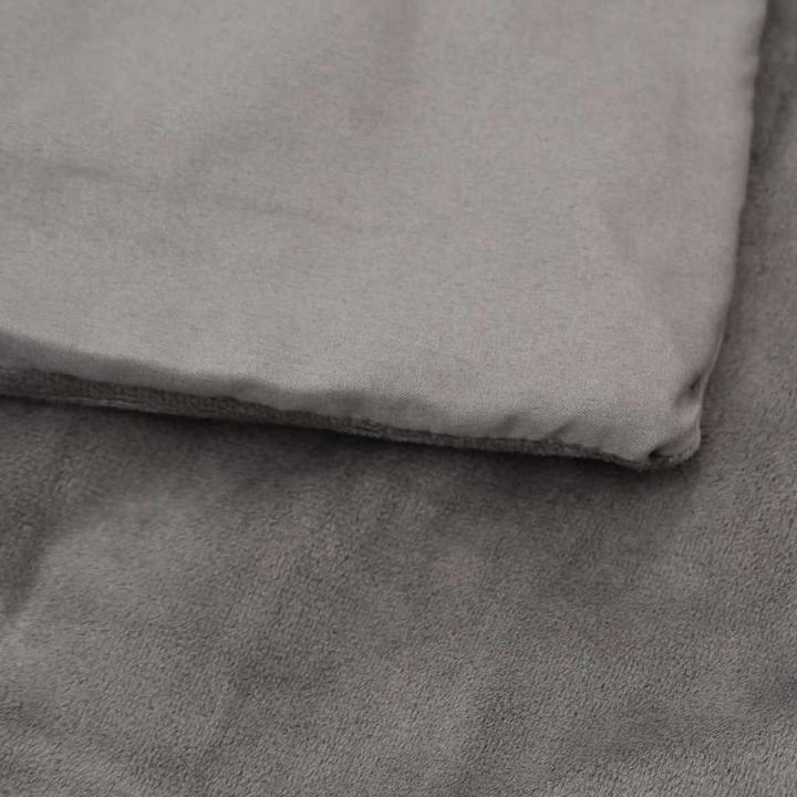 Immagine prodotto vidaXL Gewichtsdecke mit Bezug (200 x 140 cm)