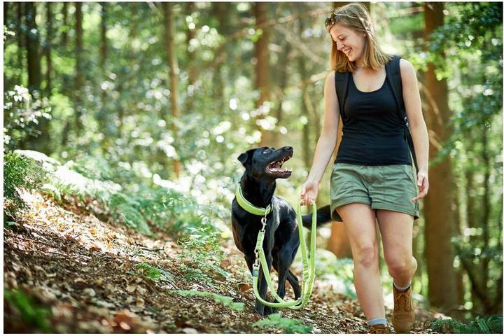 Actual product image Hunter Adjustable leash Hilo (L, Dog, Dog sport)