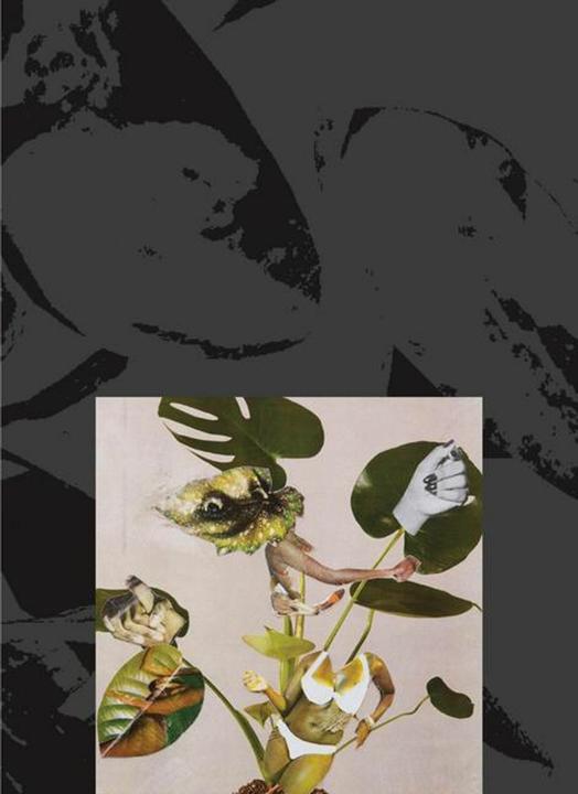 Walker Kandis Williams (Englisch, 2025)