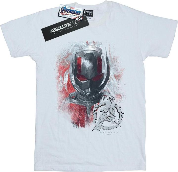 Produktbild Jungen Avengers Endgame AntMan gebürstetes TShirt (140, 146)