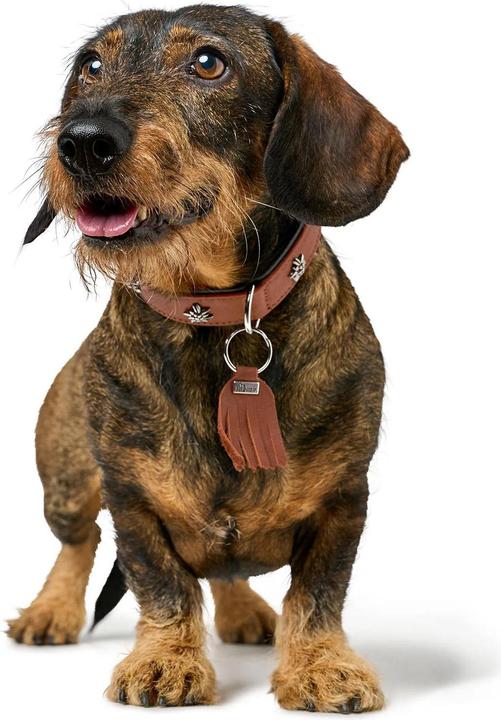 Immagine prodotto Hunter Collare Monaco per cani 42 (42, Cane, Generale)