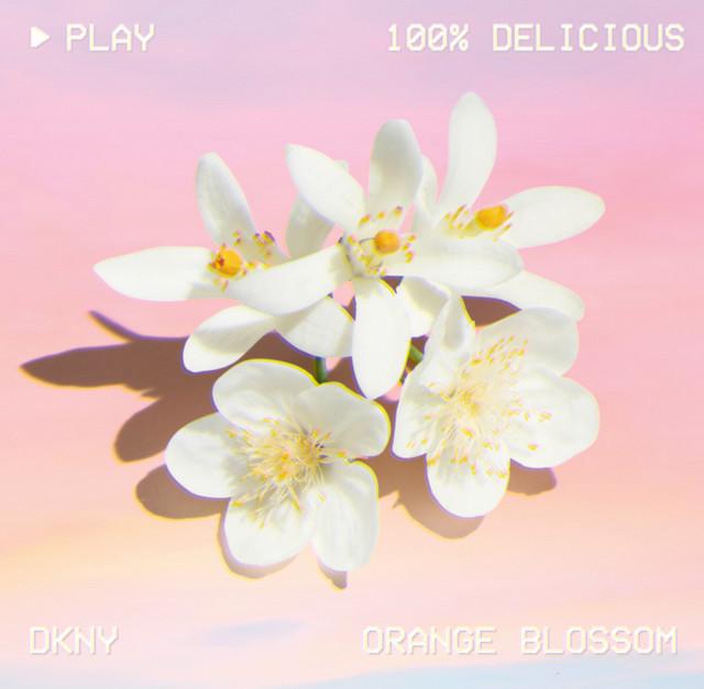 Actual product image DKNY Be 100% Delicious (Eau de parfum, 50 ml)