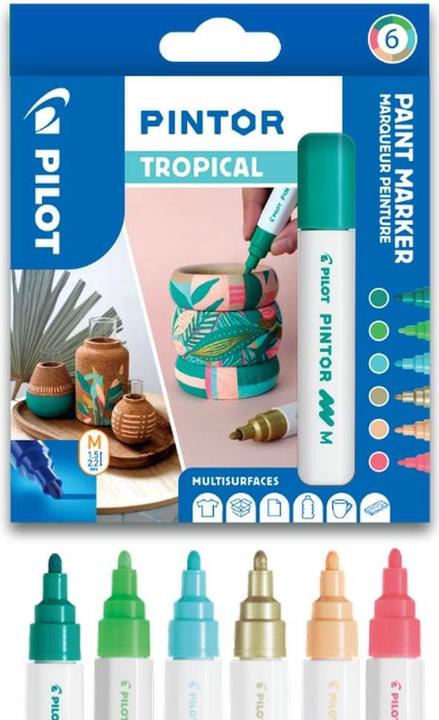 Image du produit Pilot Pintor Medium Set x6 Tropical (6x)