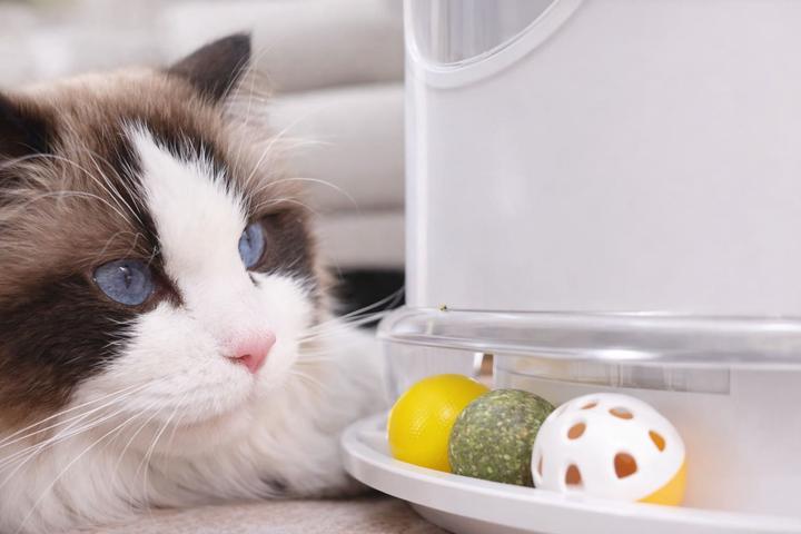 Produktbild Petair - Luftreiniger für Haustierbesitzer L2-SP201-B (50 m²)