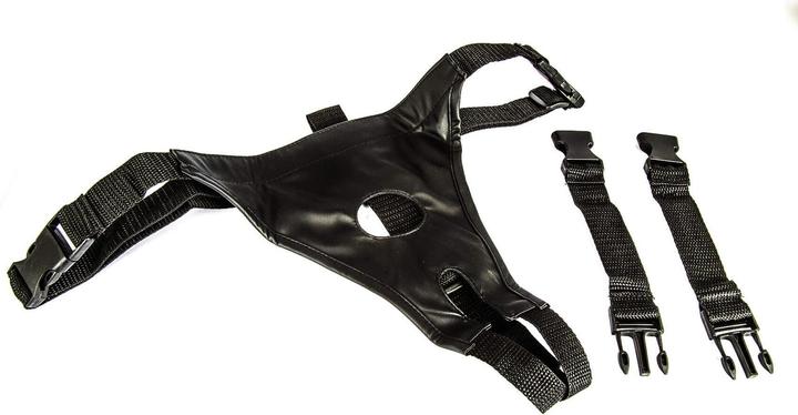 Image du produit You2Toys Strap-on set