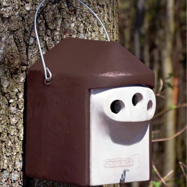 Actual product image Schwegler 221/1 Nesting box 2GR Three-hole 27 mm