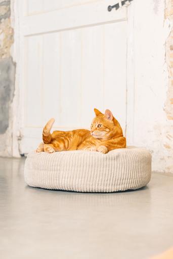 Produktbild Designed by Lotte Katzen Liegebett (Katze)