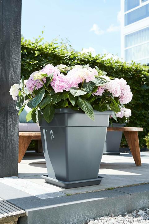 Actual product image Elho Coaster