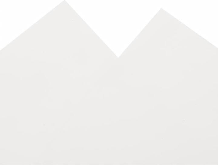 Image du produit vidaXL Plane (10 x 1.50 m)