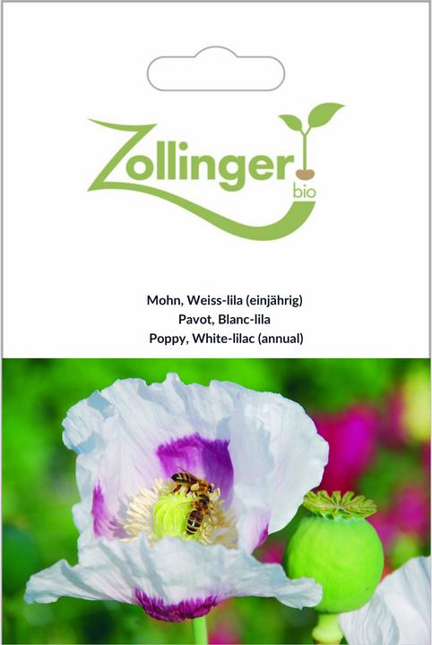 Produktbild Zollinger Bio Mohn, Weiss-lila (einjährig) (Keimlinge)
