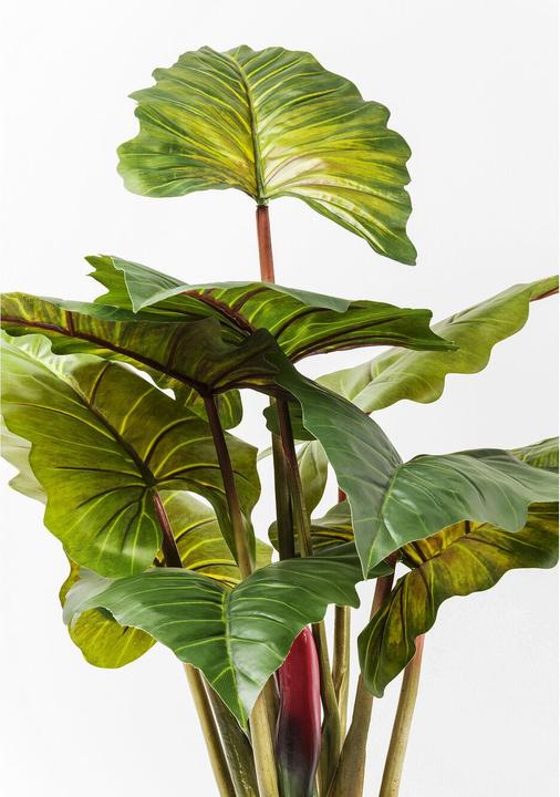 Produktbild Kare Design Rainforest (160 cm)