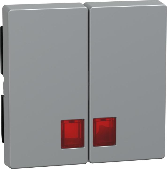 Produktbild Merten Doppelwippe mit rotem Symbolfenster, MEG3456-0460