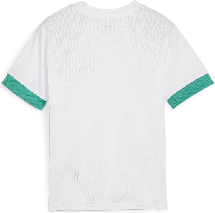Actual product image Puma teamGOAL Matchday Jersey jr (152)