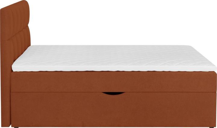 Actual product image Livetastic Lorie (180 x 200 cm)