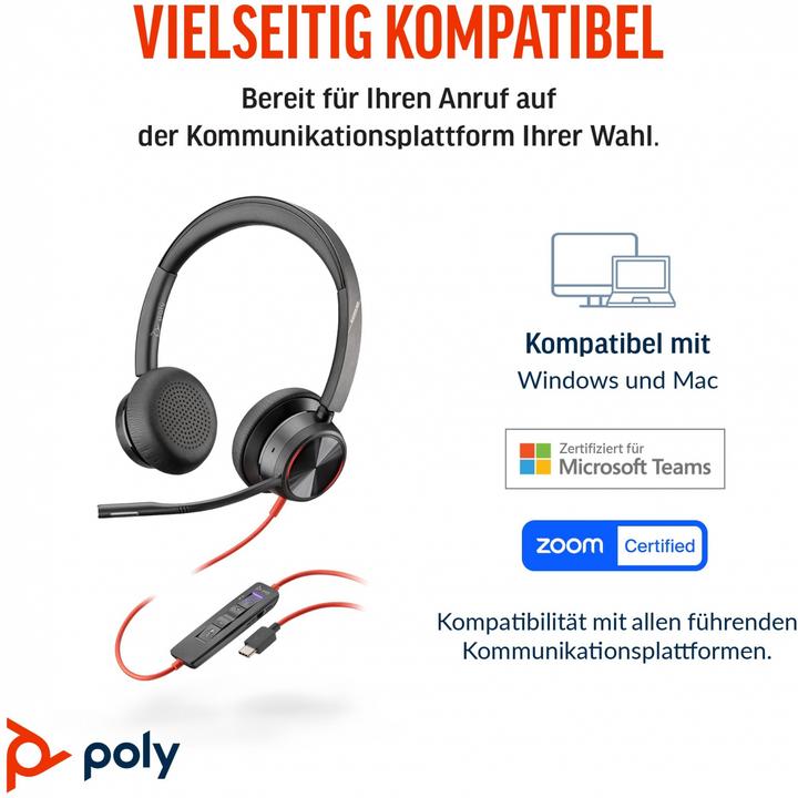 Image du produit Poly Blackwire 8225 USB-C Stereo-Headset, für Microsoft Teams zertifiziert, + USB-C/A-Adapter (Filaire, USB-C, Les équipes Microsoft)