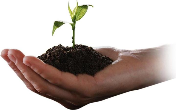 Actual product image D-Link DMS-107/E Switch (7 ports)