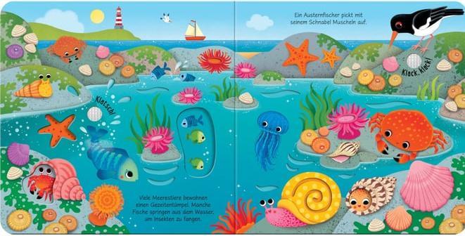 Produktbild Klänge der Natur: Was hörst du am Meer? (Deutsch, Sam Taplin, 2022)