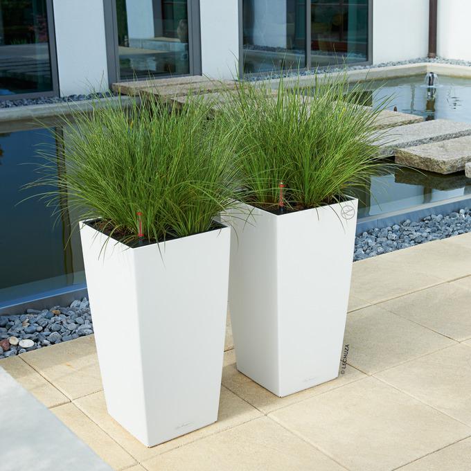 Actual product image Lechuza Flowerpot Cubico Color 30 (30 x 30 x 56.50 cm)