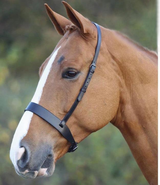 Immagine prodotto Velociti BrigliaCavallo in pelle Hunter
