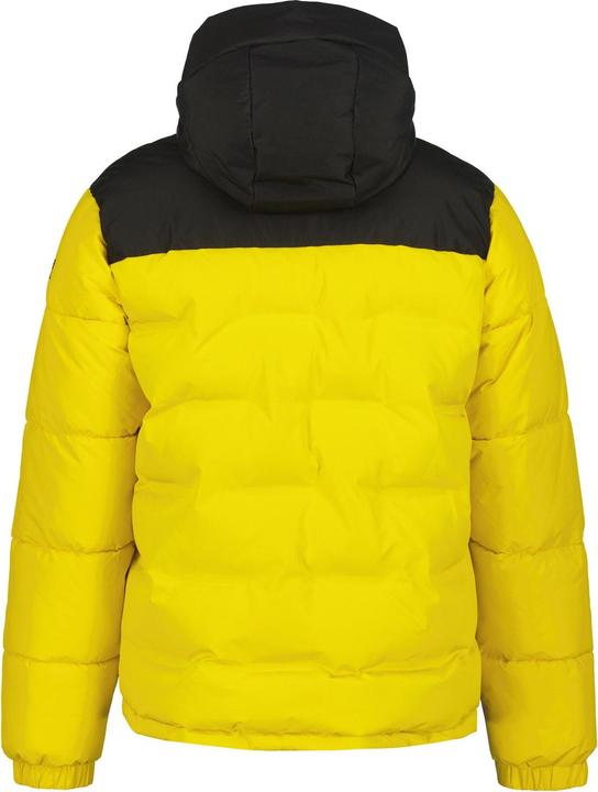 Image du produit Icepeak Ameri (52)