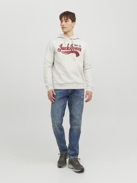 Image du produit Jack & Jones Logo Hoodie (M)