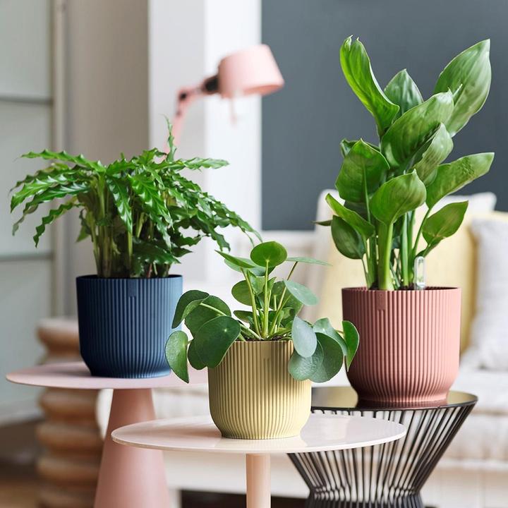 Image du produit Elho Vibes Fold (34.80 cm)