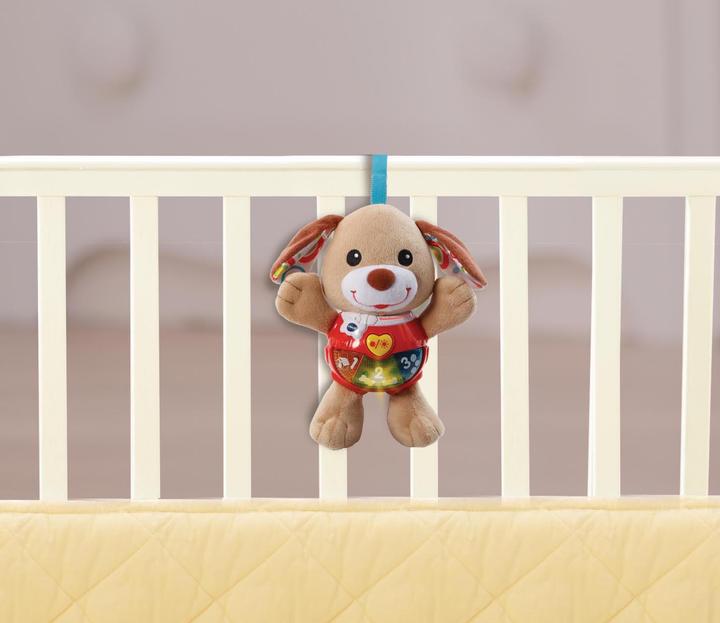 Actual product image VTech Melody dog